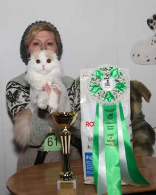 �������� ����� '������� ���-�����' 30 ������-1 ������� 2013., ������������ ��� 3180